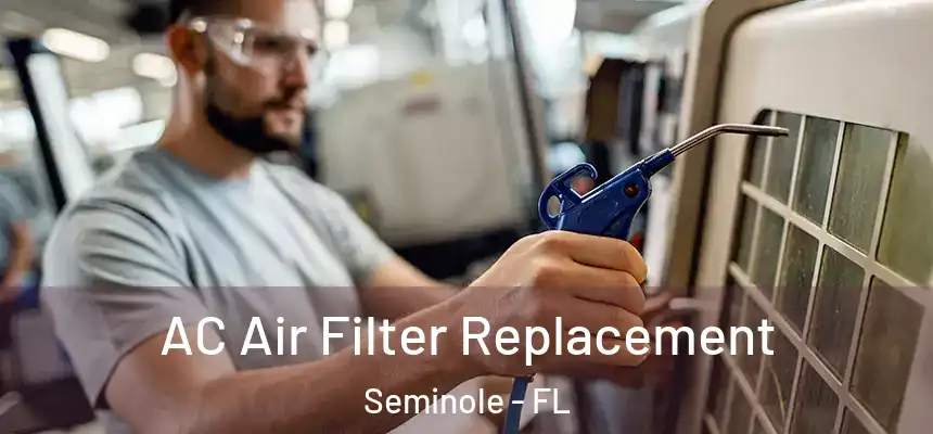 AC Air Filter Replacement Seminole - FL