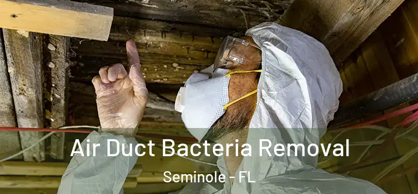 Air Duct Bacteria Removal Seminole - FL