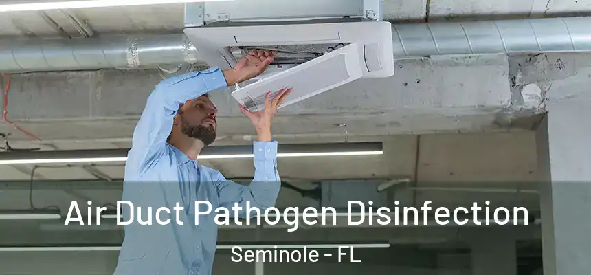 Air Duct Pathogen Disinfection Seminole - FL