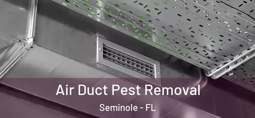 Air Duct Pest Removal Seminole - FL