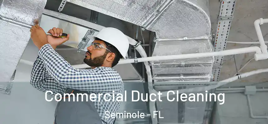 Commercial Duct Cleaning Seminole - FL