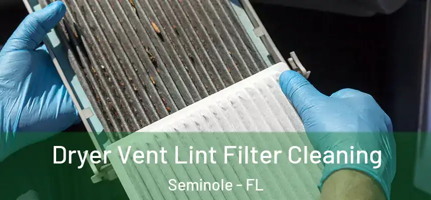 Dryer Vent Lint Filter Cleaning Seminole - FL