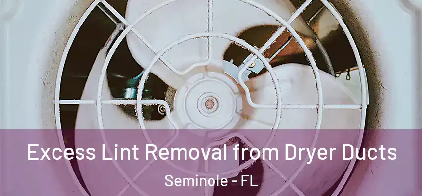 Excess Lint Removal from Dryer Ducts Seminole - FL