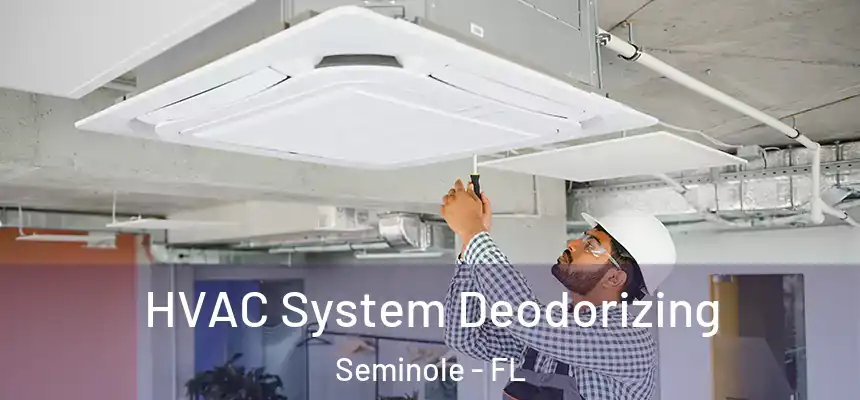 HVAC System Deodorizing Seminole - FL