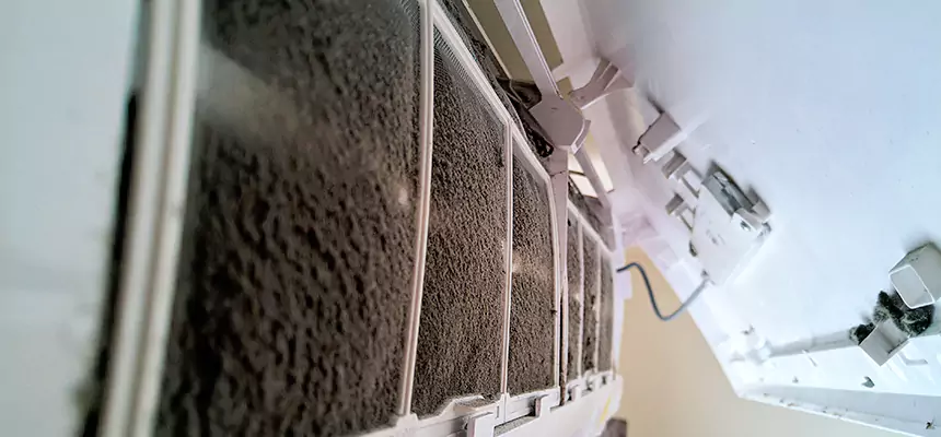 Preventive Air Duct Bacteria Removal in Seminole