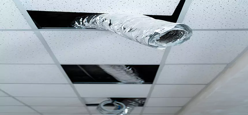 Our Air Duct Pet Hair Removal Services in Seminole, FL