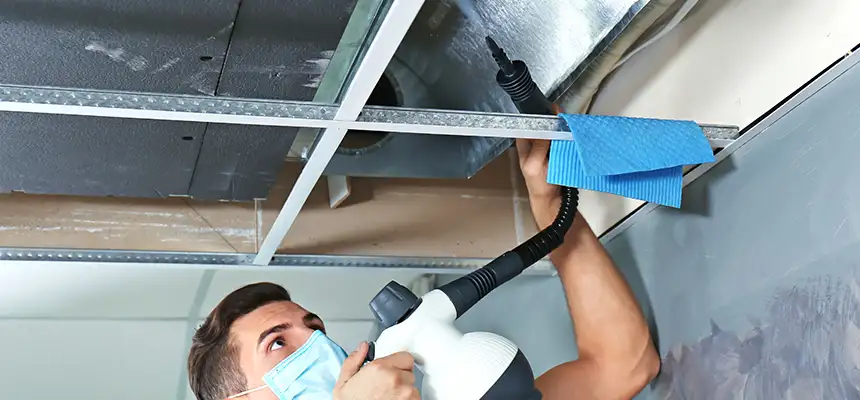 Our Air Duct Rodent Removal Services in Seminole, FL