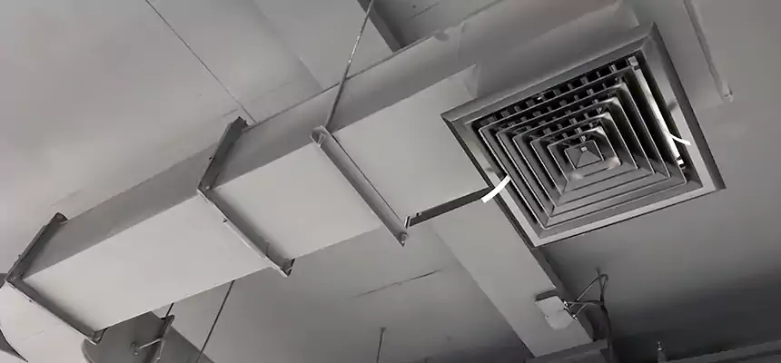 Restorative Allergy Relief Vent Cleaning – Coil, Blower & Housing Detail in Seminole