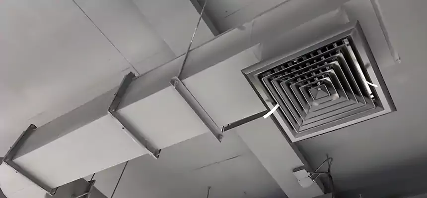 Our Pest Removal From Ducts Services in Seminole, FL