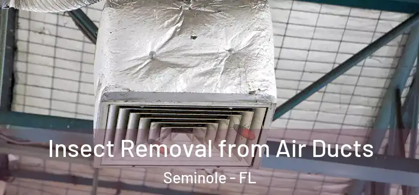 Insect Removal from Air Ducts Seminole - FL