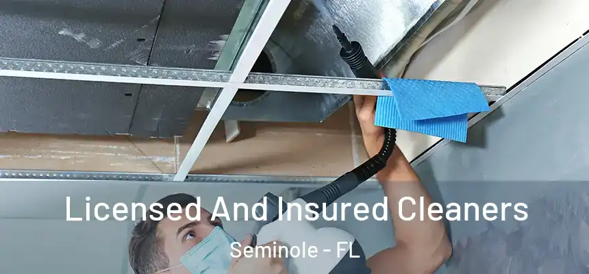 Licensed And Insured Cleaners Seminole - FL