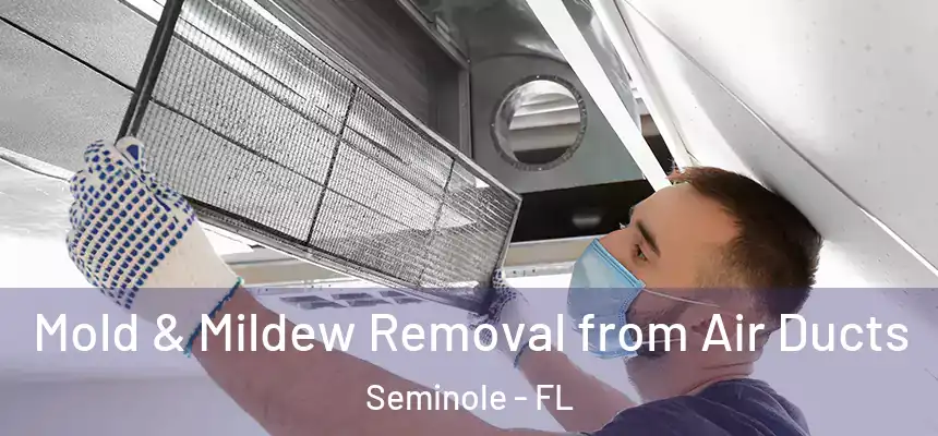Mold & Mildew Removal from Air Ducts Seminole - FL