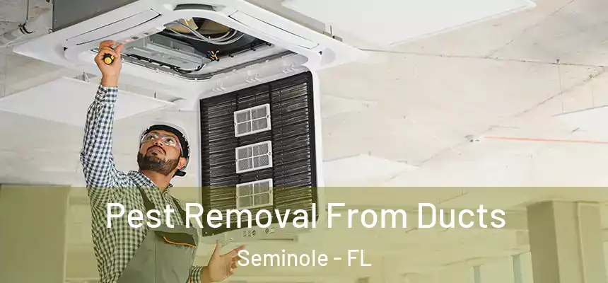 Pest Removal From Ducts Seminole - FL