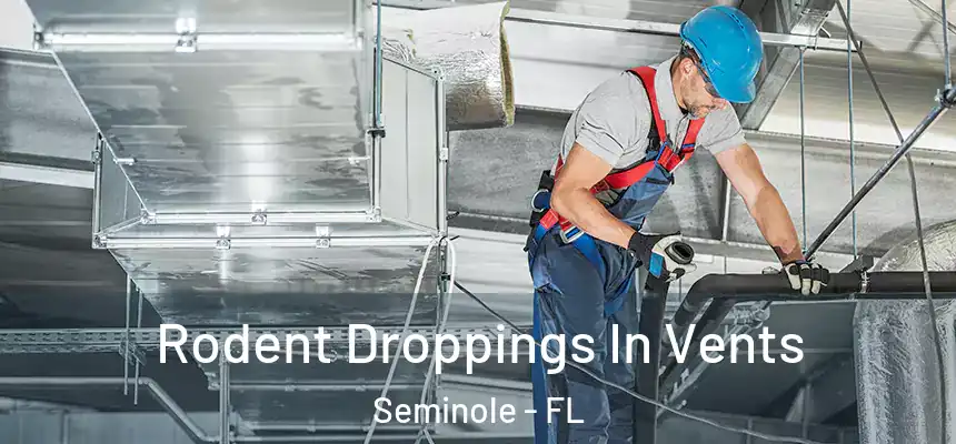 Rodent Droppings In Vents Seminole - FL