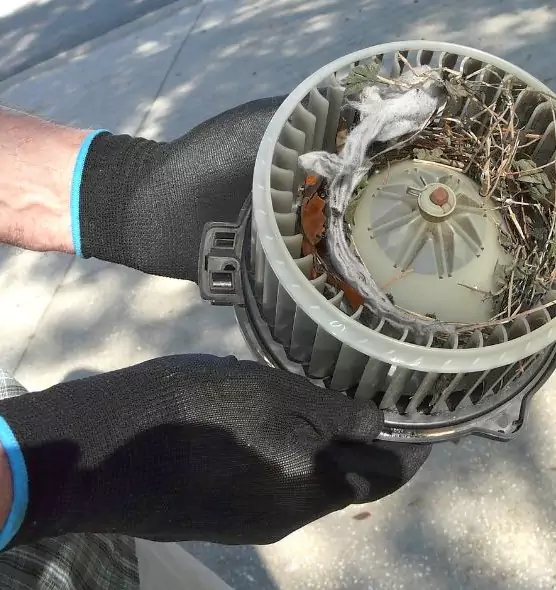 About Air Duct Mice Removal in Seminole, FL