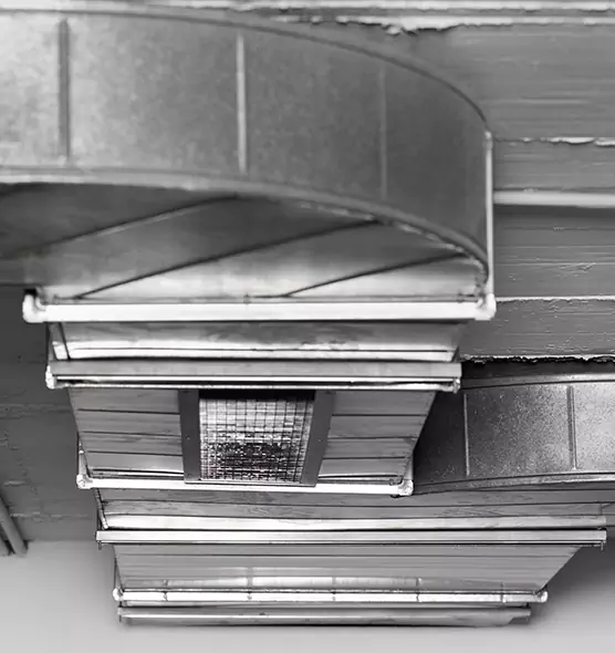 Professional Air Duct Pest Removal in Seminole, FL