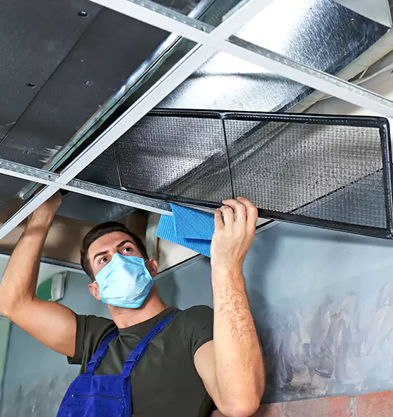 Professional Air Duct Pollen Cleaning in Seminole, FL