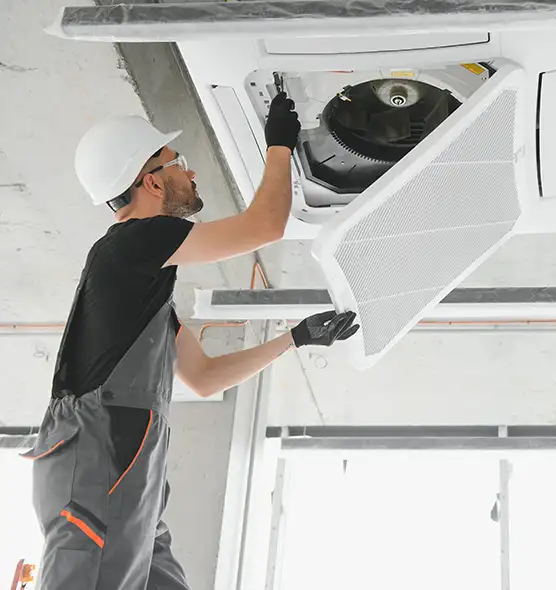 About Air Duct Rodent Removal in Seminole, FL