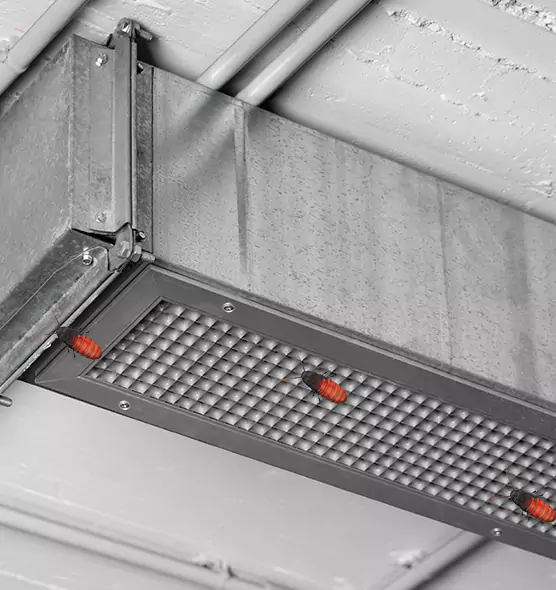 Affordable Insect Removal from Air Ducts in Seminole, FL