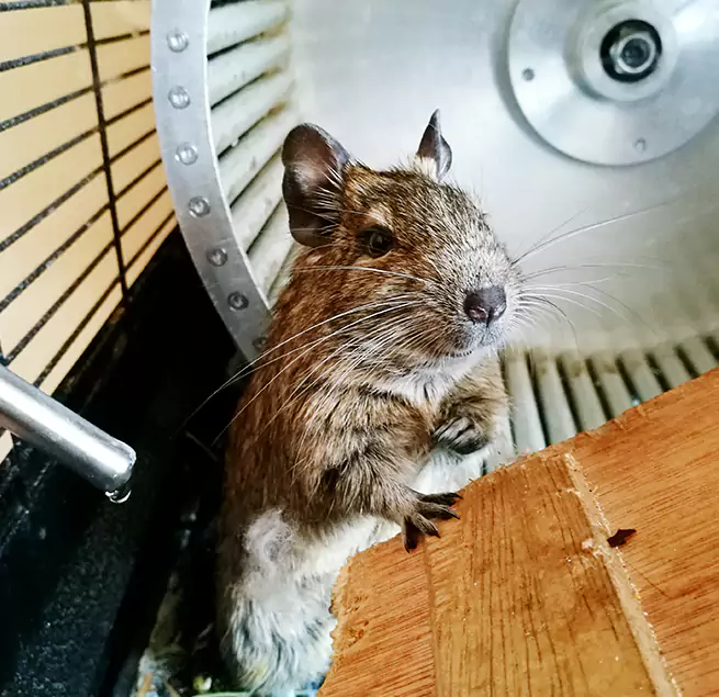 Why Homeowners & Businesses Trust Us Seminole, FL?