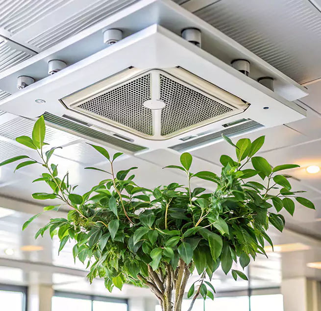 Why Homeowners & Businesses Trust Us in Seminole, FL?