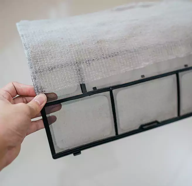 Why Homeowners & Businesses Trust Us in Seminole, FL?