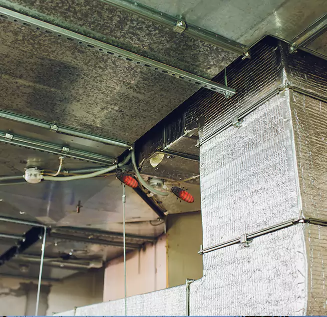 Why Homeowners & Businesses Trust Us Seminole, FL?